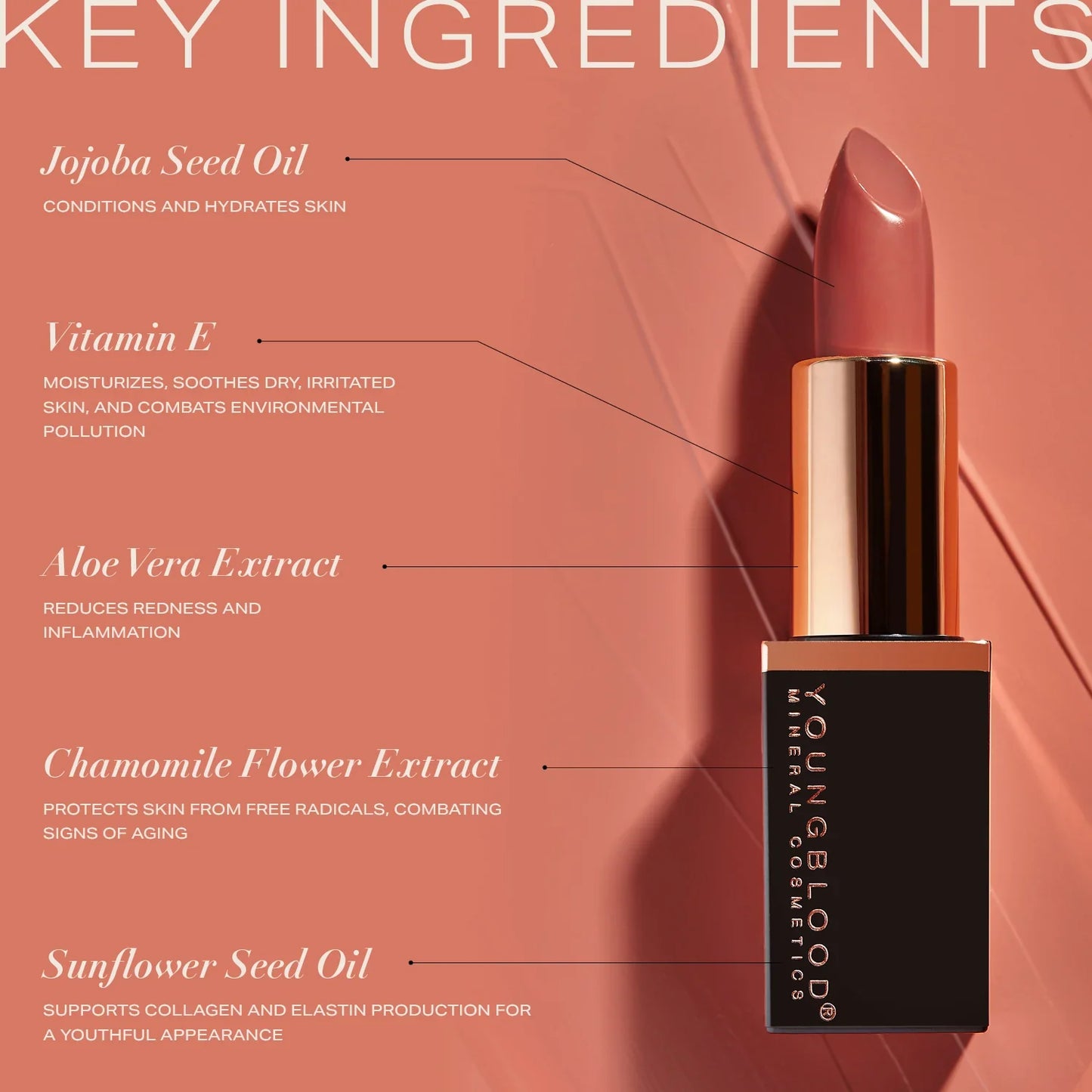 Youngblood Mineral Creme Lipstick - Muse