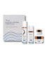 Osmosis Blemish Control Kit